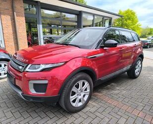 Land Rover Range Rover Evoque Gebrauchtwagen