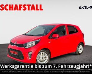 Kia Picanto Gebrauchtwagen