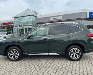 Subaru Forester Gebrauchtwagen