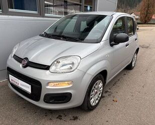 Fiat Panda Gebrauchtwagen