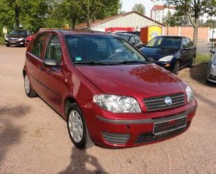 Fiat Punto Gebrauchtwagen