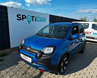 Fiat Panda Gebrauchtwagen