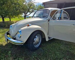 VW Käfer Gebrauchtwagen