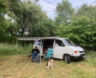 VW T4 andere Gebrauchtwagen