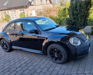 VW Beetle Gebrauchtwagen