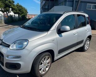 Fiat Panda Gebrauchtwagen