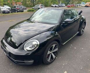 VW Beetle Gebrauchtwagen