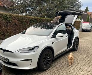 Tesla Model X Gebrauchtwagen