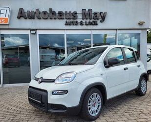 Fiat Panda Gebrauchtwagen