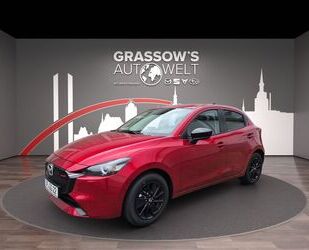 Mazda 2 Gebrauchtwagen