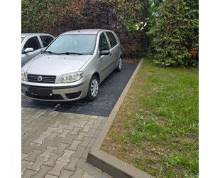 Fiat Punto Gebrauchtwagen