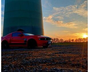 Ford Mustang Gebrauchtwagen