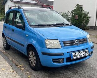 Fiat Panda Gebrauchtwagen