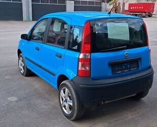 Fiat Panda Gebrauchtwagen