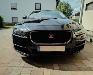Jaguar XE Gebrauchtwagen