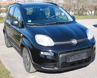 Fiat Panda Gebrauchtwagen