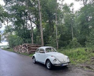 VW Käfer Gebrauchtwagen