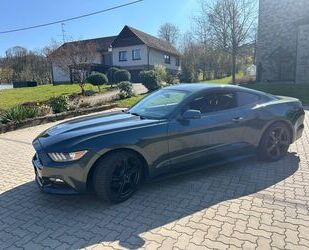 Ford Mustang Gebrauchtwagen
