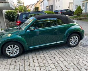 VW Beetle Gebrauchtwagen