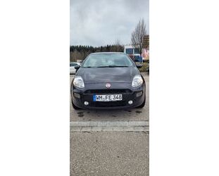 Fiat Punto Gebrauchtwagen
