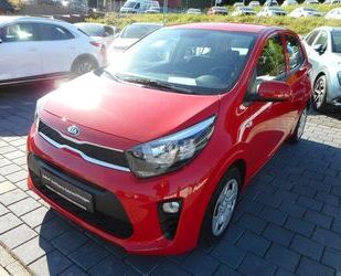 Kia Picanto Gebrauchtwagen