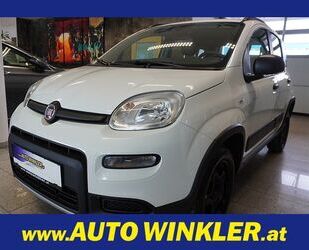 Fiat Panda Gebrauchtwagen