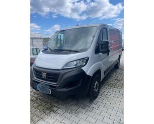 Fiat Ducato Gebrauchtwagen