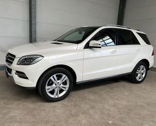 Mercedes-Benz ML 350 Gebrauchtwagen