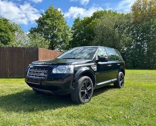 VW Freelander 