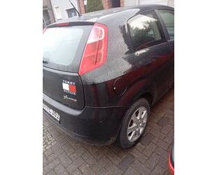Fiat Punto Gebrauchtwagen