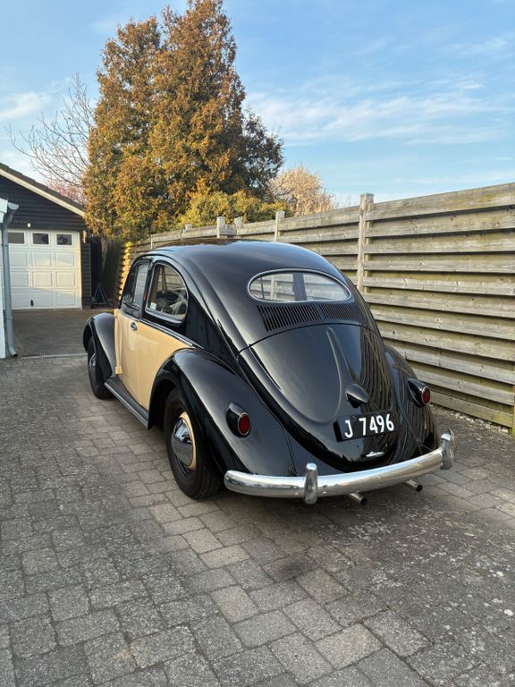 Beetle