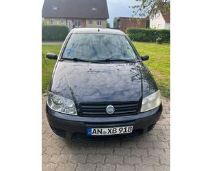 Fiat Punto Gebrauchtwagen