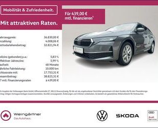 Skoda Octavia Gebrauchtwagen