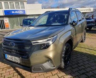 Subaru Forester Gebrauchtwagen
