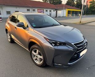 Lexus NX 300 Gebrauchtwagen