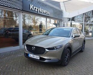 Mazda CX-30 Gebrauchtwagen