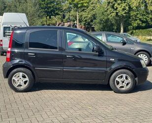 Fiat Panda Gebrauchtwagen