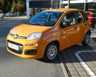 Fiat Panda Gebrauchtwagen