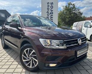 Mini Tiguan 