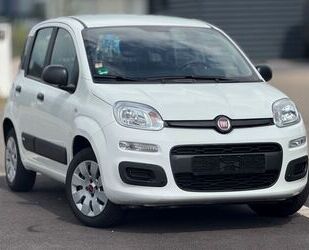 Fiat Panda Gebrauchtwagen