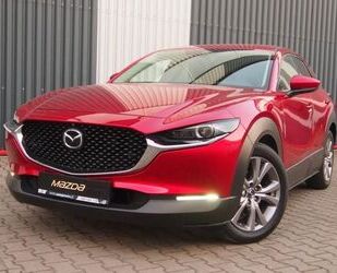 Mazda CX-30 Gebrauchtwagen