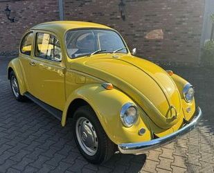 VW Käfer Gebrauchtwagen