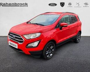 Ford EcoSport Gebrauchtwagen