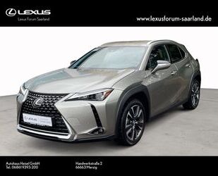 Lexus UX Gebrauchtwagen