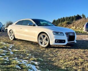 Audi S5 Gebrauchtwagen