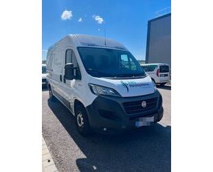 Fiat Ducato Gebrauchtwagen