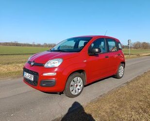 Fiat Panda Gebrauchtwagen