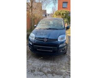 Fiat Panda Gebrauchtwagen