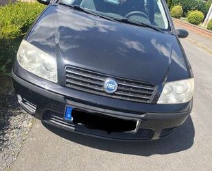 Fiat Punto Gebrauchtwagen
