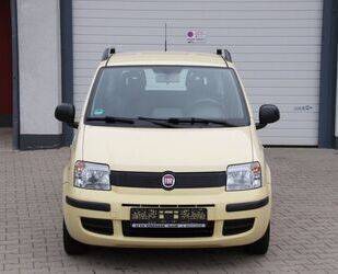 Fiat Panda Gebrauchtwagen
